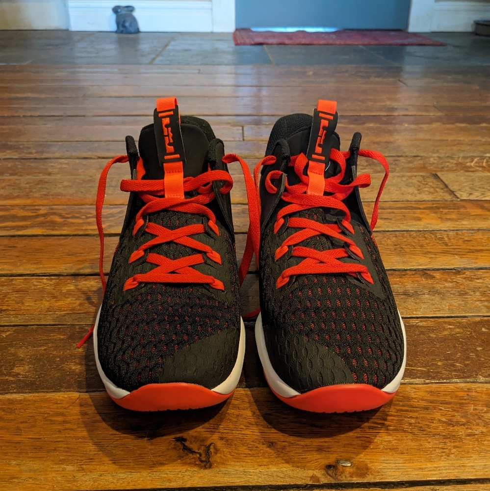 Nike LeBron Witness V